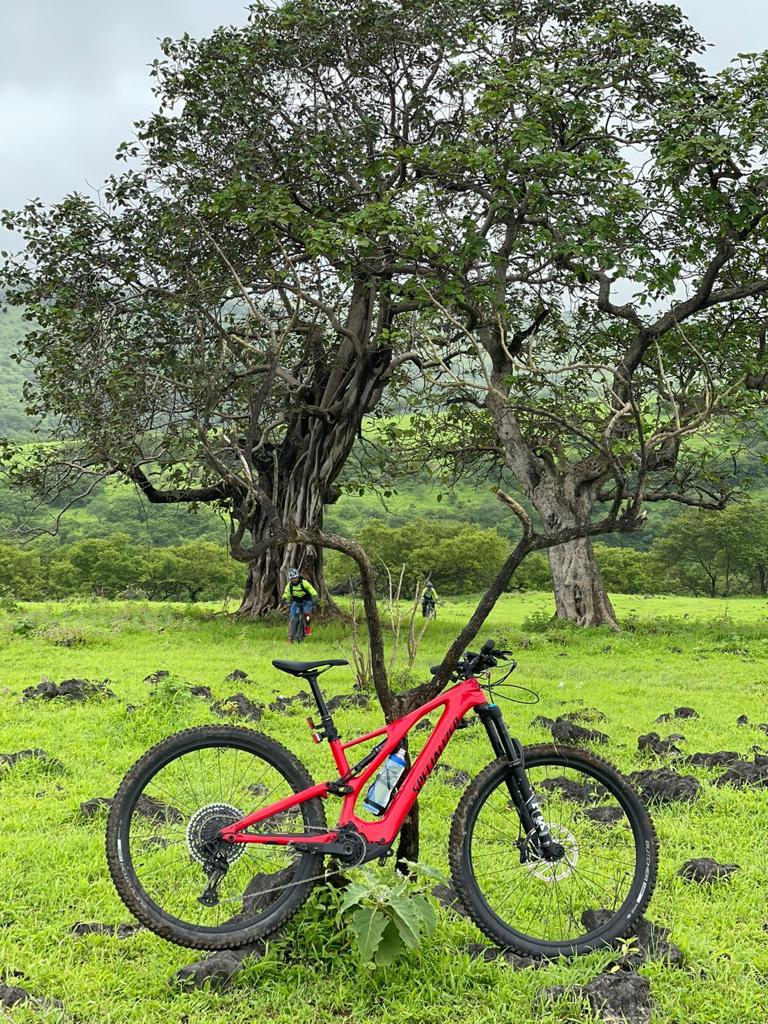 Bike shop in oman Specialized